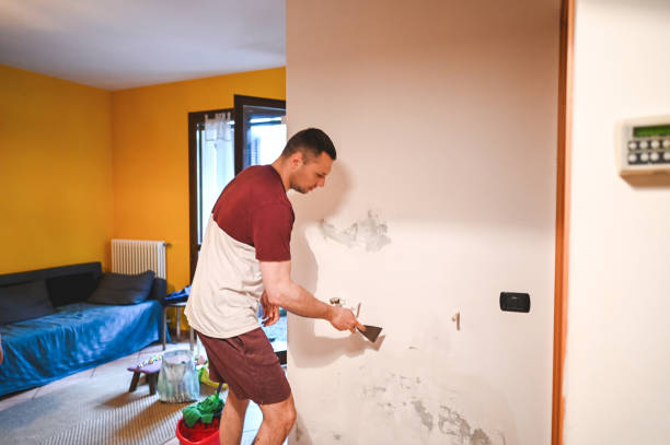 Best Mold Testing  in Kinston, NC